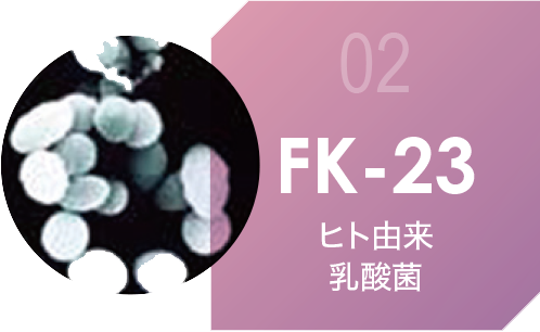 FK-23