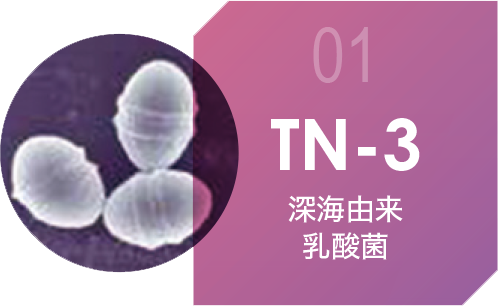 TN-3